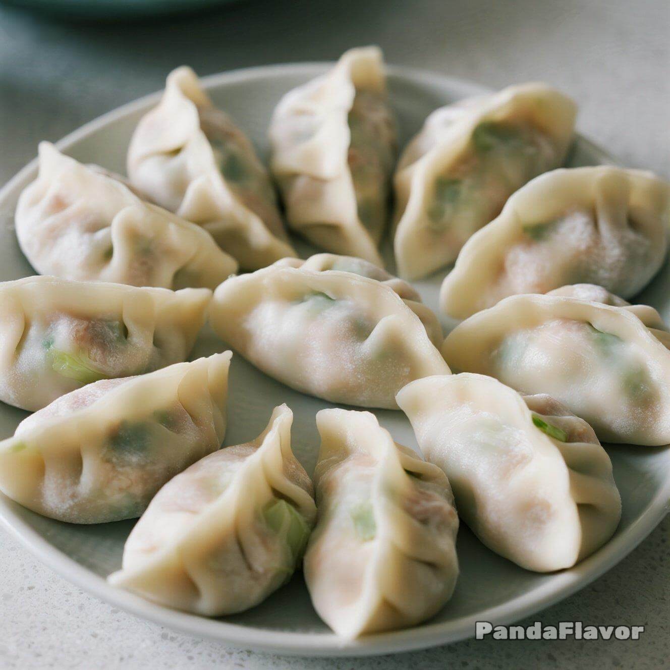 Cabbage and Pork Dumplings